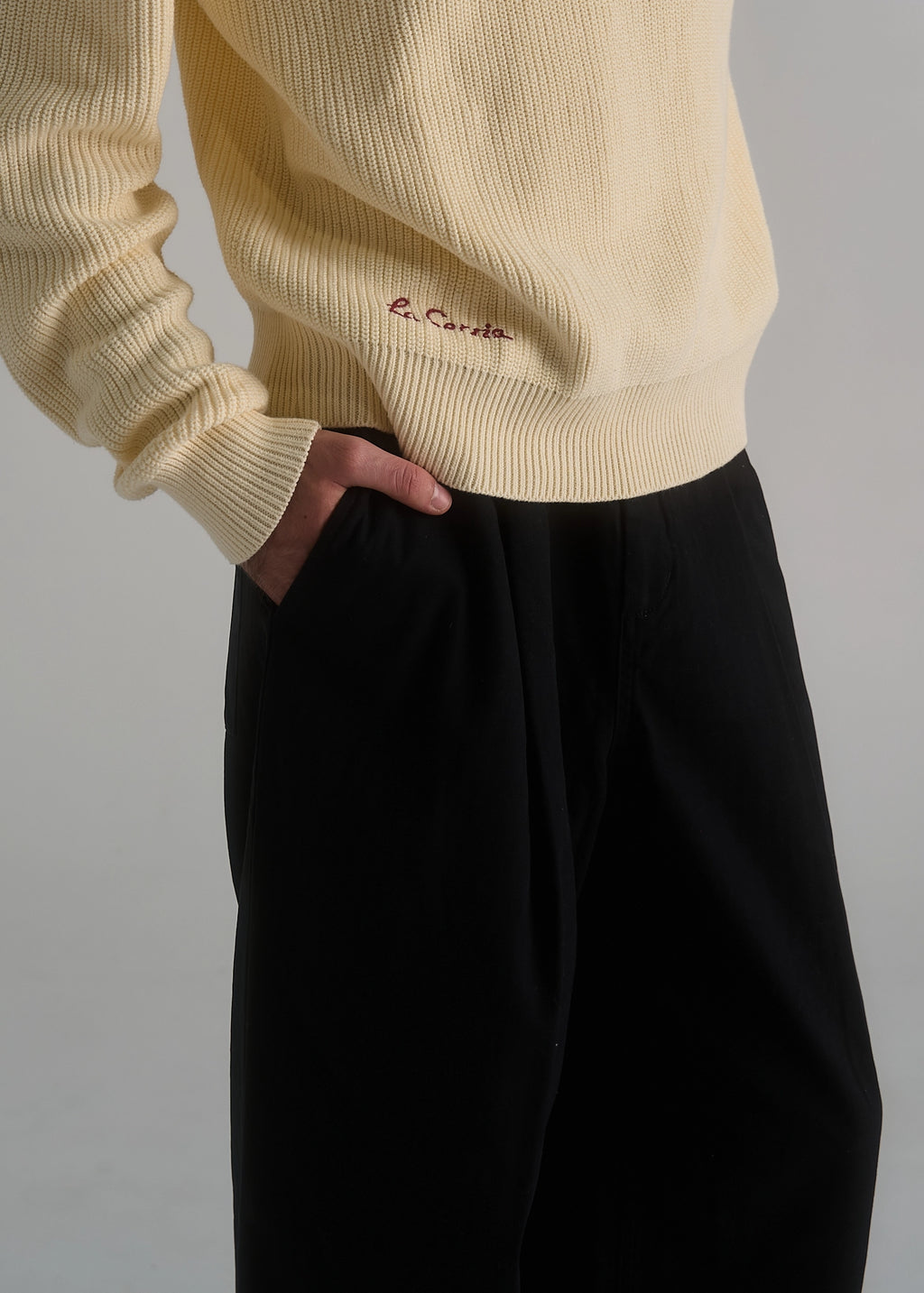 La Corsia Wide Leg Pleated Trouser in washed black, worn by a model on a plain studio background
