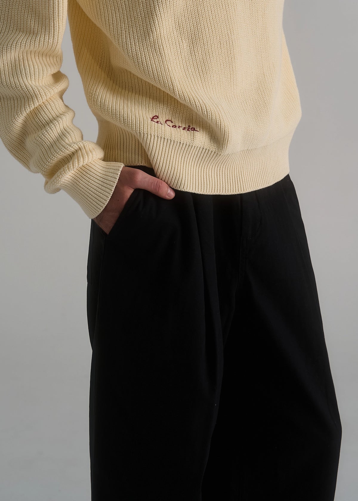 Wide Leg Pleated Trouser
